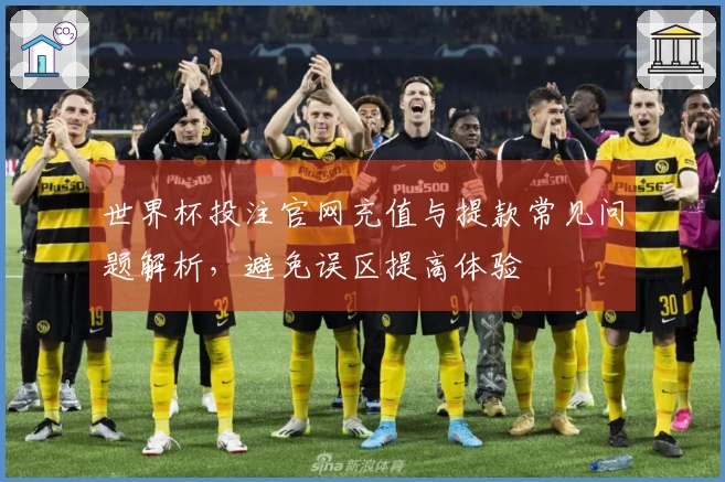 世界杯投注官网充值与提款常见问题解析，避免误区提高体验