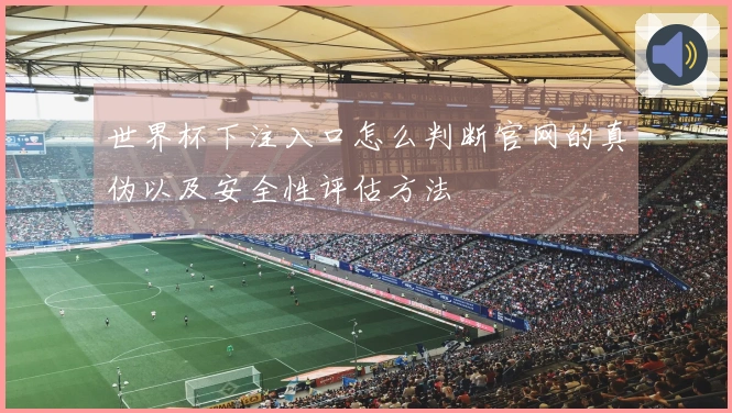 世界杯下注入口怎么判断官网的真伪以及安全性评估方法