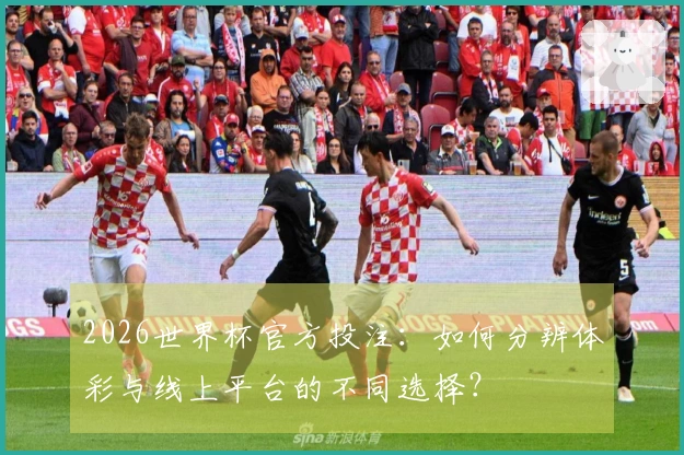 2026世界杯官方投注：如何分辨体彩与线上平台的不同选择？
