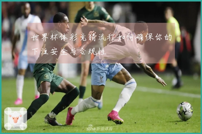 世界杯体彩竞猜流程如何确保你的下注安全与合规性
