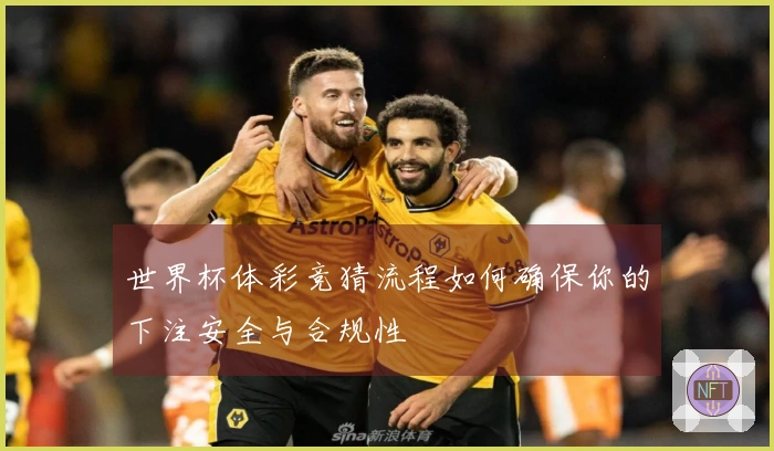 世界杯体彩竞猜流程如何确保你的下注安全与合规性