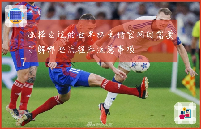 选择合适的世界杯竞猜官网时需要了解哪些流程和注意事项