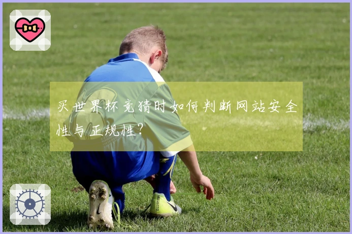 买世界杯竞猜时如何判断网站安全性与正规性？