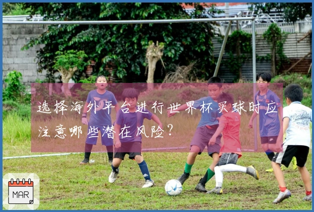 选择海外平台进行世界杯买球时应注意哪些潜在风险？
