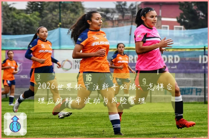 2026世界杯下注新手必读：怎样合理应对赔率波动与风险管理