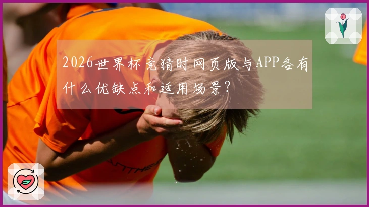2026世界杯竞猜时网页版与APP各有什么优缺点和适用场景？