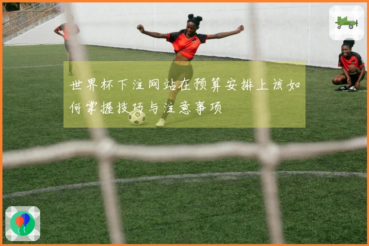 世界杯下注网站在预算安排上该如何掌握技巧与注意事项