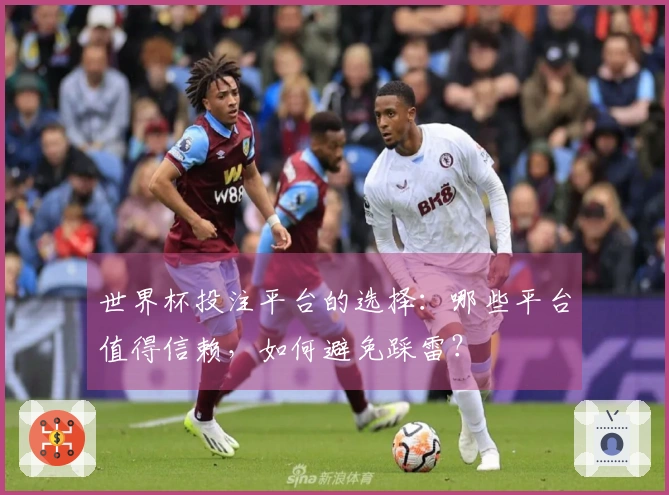 世界杯投注平台的选择：哪些平台值得信赖，如何避免踩雷？
