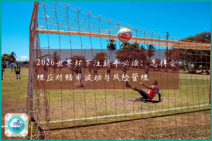 2026世界杯下注新手必读：怎样合理应对赔率波动与风险管理