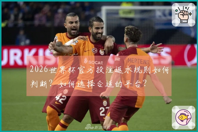 2026世界杯官方投注返水规则如何判断？如何选择合适的平台？