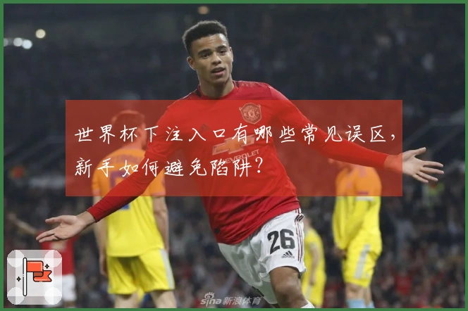 世界杯下注入口有哪些常见误区，新手如何避免陷阱？