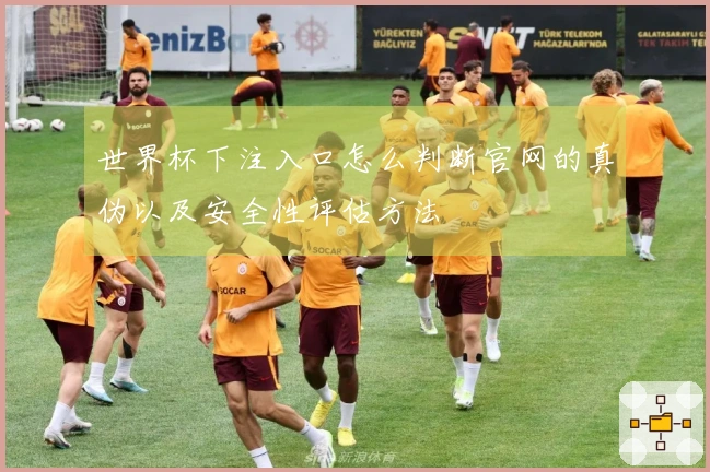 世界杯下注入口怎么判断官网的真伪以及安全性评估方法