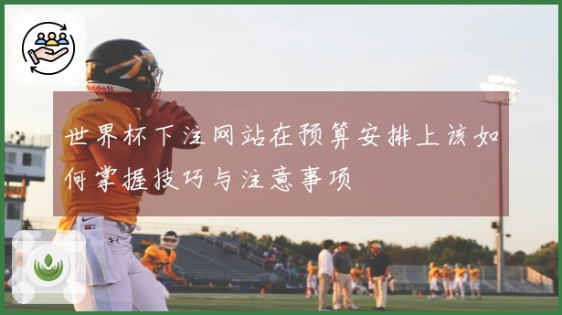 世界杯下注网站在预算安排上该如何掌握技巧与注意事项