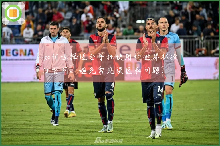 如何选择适合手机使用的世界杯投注官网，避免常见误区和问题？