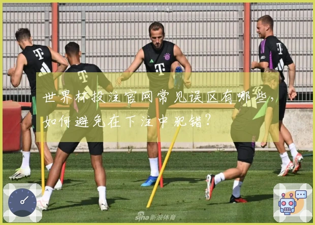 世界杯投注官网常见误区有哪些，如何避免在下注中犯错？