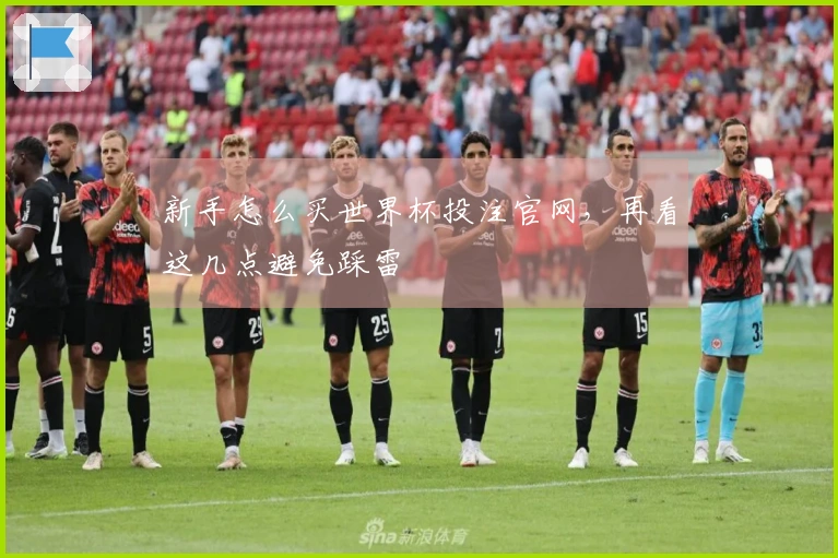 新手怎么买世界杯投注官网，再看这几点避免踩雷