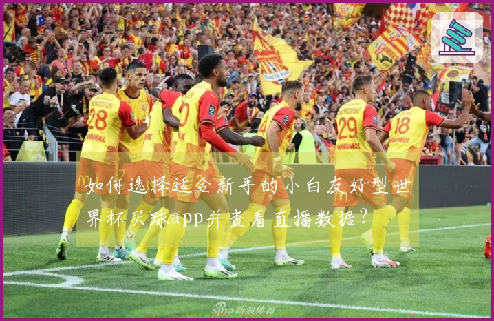 如何选择适合新手的小白友好型世界杯买球app并查看直播数据?
