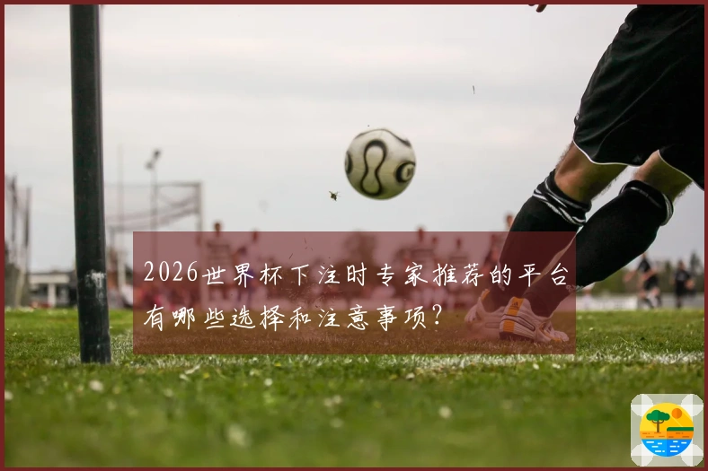 2026世界杯下注时专家推荐的平台有哪些选择和注意事项？