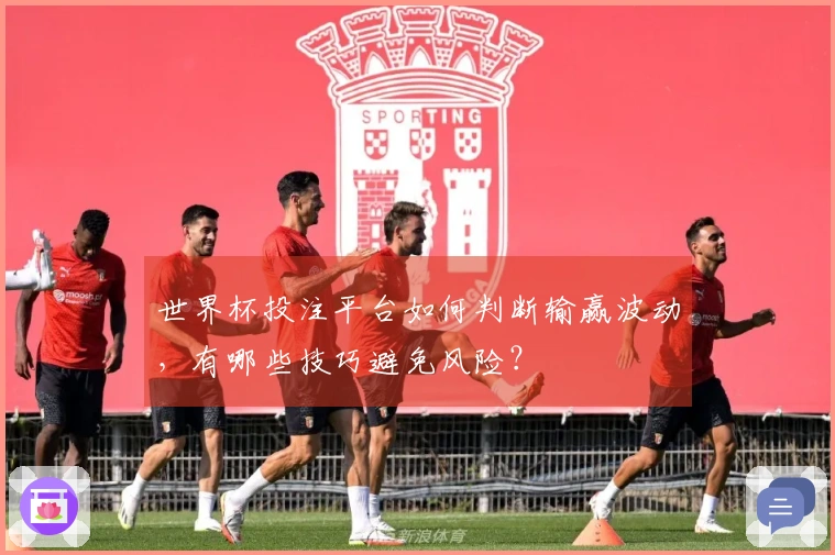 世界杯投注平台如何判断输赢波动，有哪些技巧避免风险？
